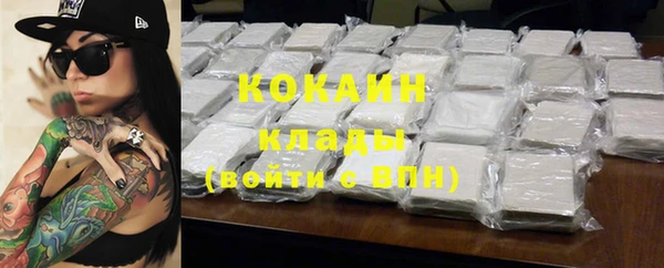 крисы Алексин