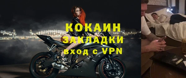 крисы Алексин