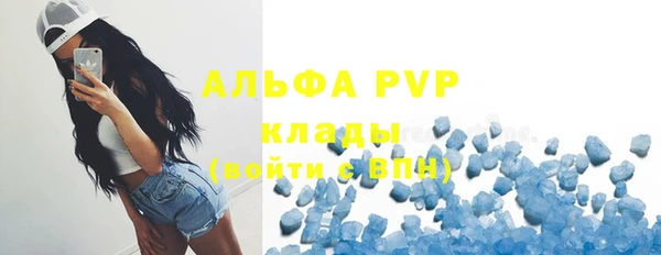 крисы Алексин