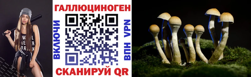 Галлюциногенные грибы Psilocybe  mega tor  Качканар 